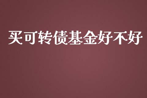 买可转债基金好不好_https://www.lansai.wang_基金理财_第1张