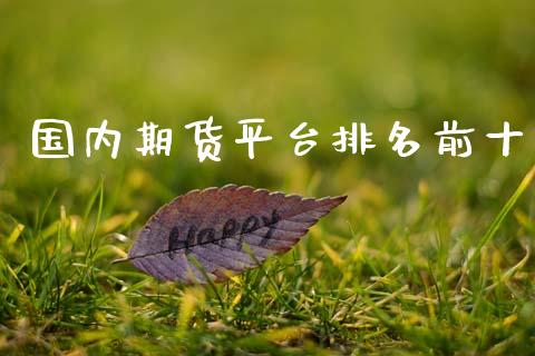 国内期货平台排名前十_https://www.lansai.wang_期货资讯_第1张