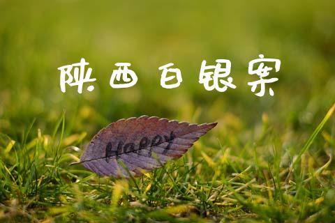 陕西白银案_https://www.lansai.wang_期货资讯_第1张