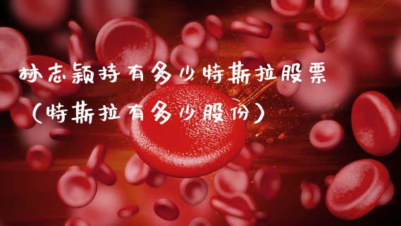 林志颖持有多少特斯拉股票（特斯拉有多少股份）_https://www.lansai.wang_股票知识_第1张