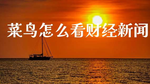 菜鸟怎么看财经新闻_https://www.lansai.wang_股票问答_第1张
