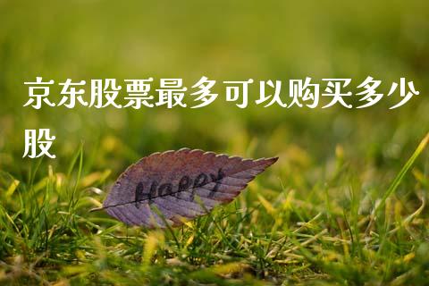 京东股票最多可以购买多少股_https://www.lansai.wang_期货资讯_第1张