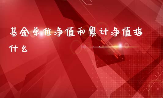 基金单位净值和累计净值指什么_https://www.lansai.wang_期货行情_第1张