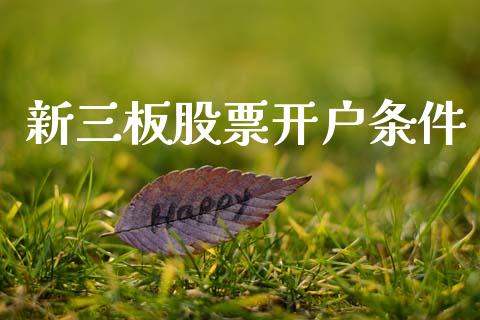 新三板股票开户条件_https://www.lansai.wang_股票问答_第1张