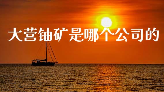 大营铀矿是哪个公司的_https://www.lansai.wang_期货行情_第1张
