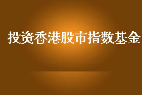 投资香港股市指数基金_https://www.lansai.wang_基金理财_第1张