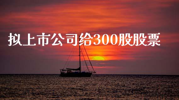 拟上市公司给300股股票_https://www.lansai.wang_期货行情_第1张
