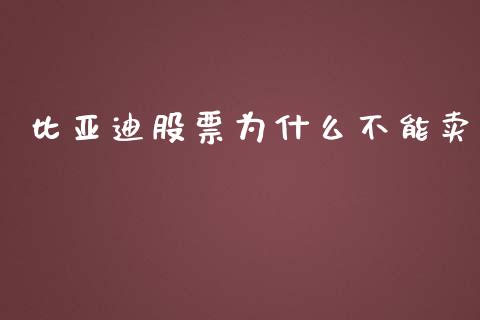 比亚迪股票为什么不能卖_https://www.lansai.wang_股票知识_第1张