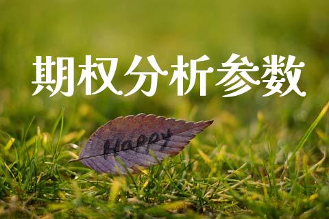 期权分析参数_https://www.lansai.wang_股票知识_第1张