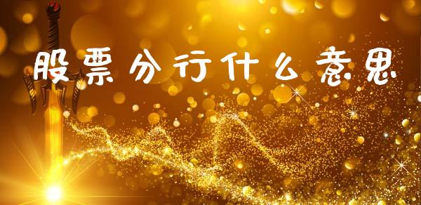股票分行什么意思_https://www.lansai.wang_基金理财_第1张