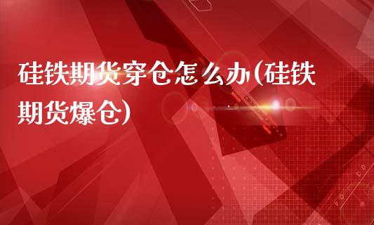 硅铁期货穿仓怎么办(硅铁期货爆仓)_https://www.lansai.wang_期货行情_第1张