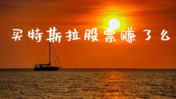 买特斯拉股票赚了么_https://www.lansai.wang_股票知识_第1张