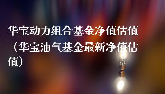 华宝动力组合基金净值估值（华宝油气基金最新净值估值）_https://www.lansai.wang_基金理财_第1张