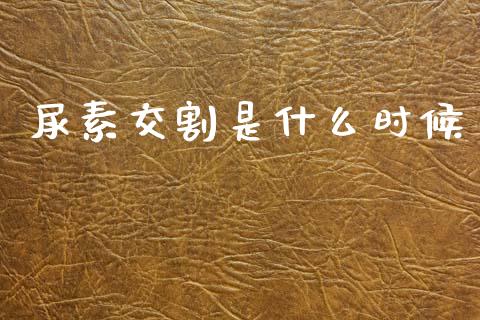 尿素交割是什么时候_https://www.lansai.wang_期货行情_第1张