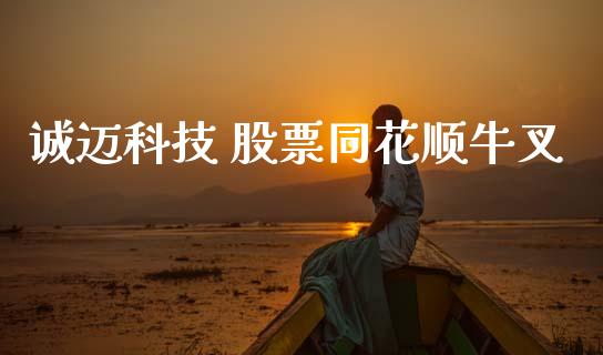 诚迈科技 股票同花顺牛叉_https://www.lansai.wang_期货行情_第1张