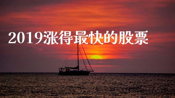 2019涨得最快的股票_https://www.lansai.wang_基金理财_第1张