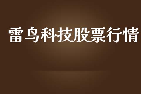 雷鸟科技股票行情_https://www.lansai.wang_股票知识_第1张