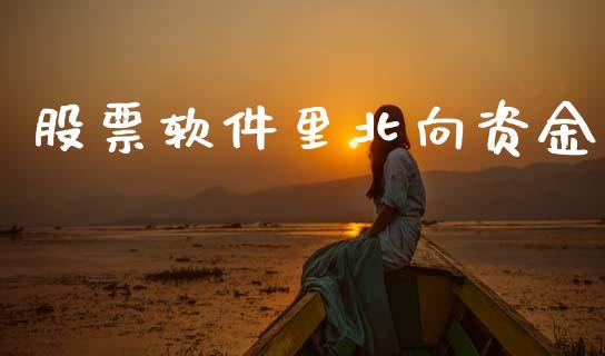 股票软件里北向资金_https://www.lansai.wang_期货行情_第1张