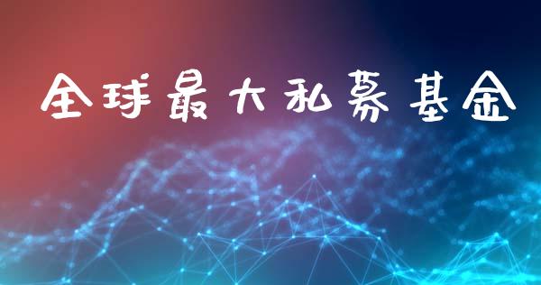 全球最大私募基金_https://www.lansai.wang_基金理财_第1张