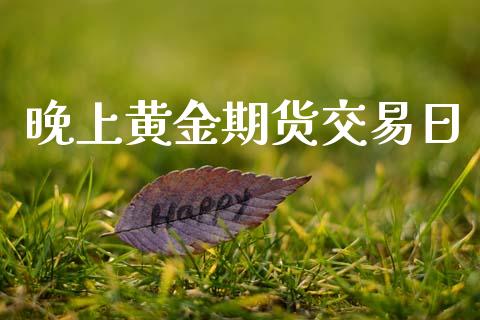 晚上黄金期货交易日_https://www.lansai.wang_期货行情_第1张