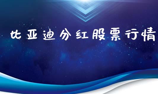比亚迪分红股票行情_https://www.lansai.wang_股票知识_第1张