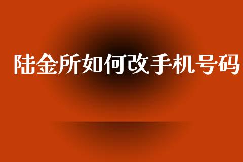 陆金所如何改手机号码_https://www.lansai.wang_期货资讯_第1张