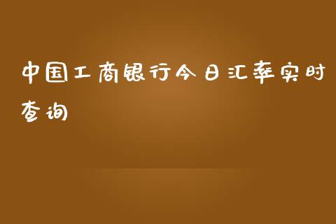 中国工商银行今日汇率实时查询_https://www.lansai.wang_期货资讯_第1张