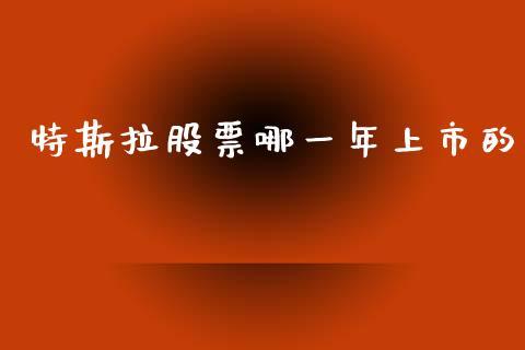 特斯拉股票哪一年上市的_https://www.lansai.wang_股票问答_第1张
