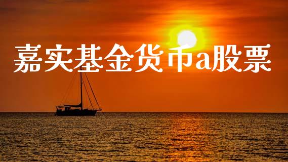 嘉实基金货币a股票_https://www.lansai.wang_基金理财_第1张