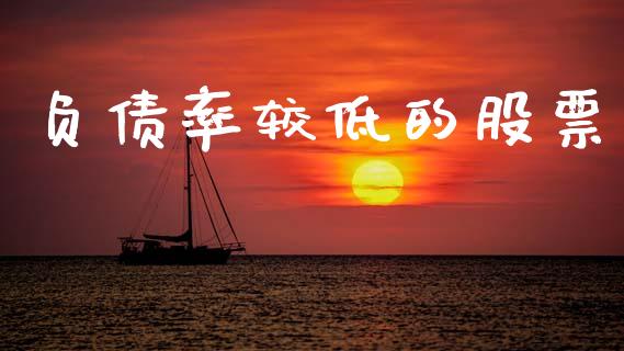 负债率较低的股票_https://www.lansai.wang_基金理财_第1张