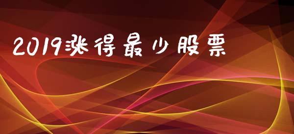 2019涨得最少股票_https://www.lansai.wang_期货资讯_第1张