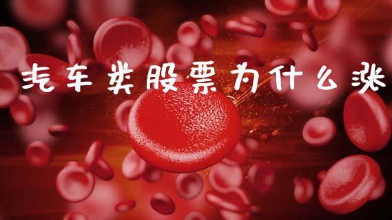 汽车类股票为什么涨_https://www.lansai.wang_期货行情_第1张