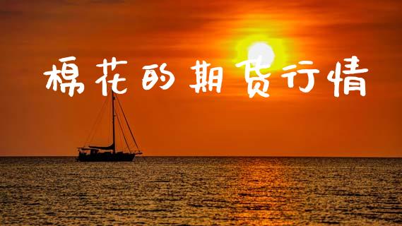 棉花的期货行情_https://www.lansai.wang_期货资讯_第1张