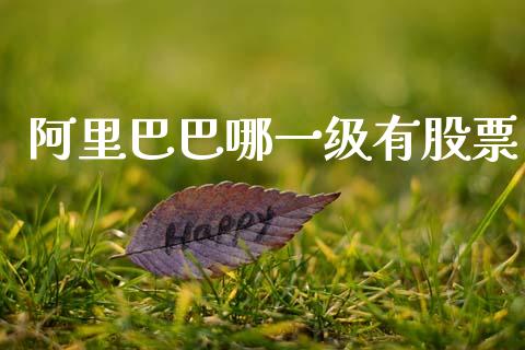 阿里巴巴哪一级有股票_https://www.lansai.wang_期货行情_第1张