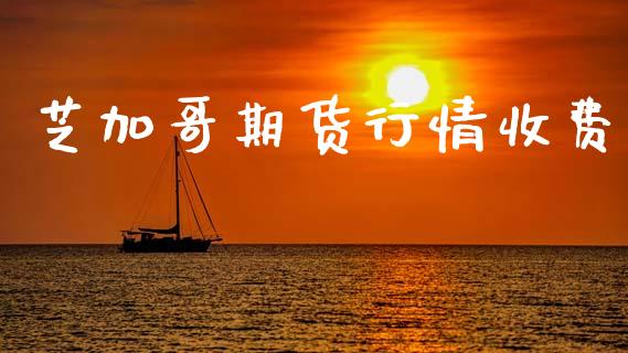 芝加哥期货行情收费_https://www.lansai.wang_期货行情_第1张