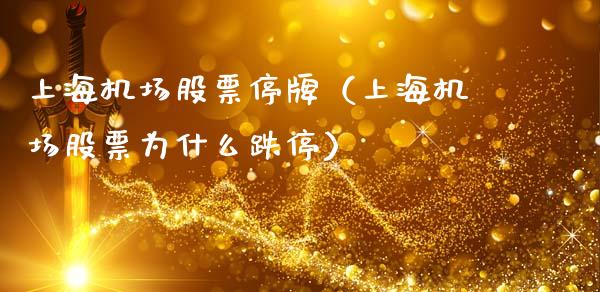 上海机场股票停牌（上海机场股票为什么跌停）_https://www.lansai.wang_股票知识_第1张