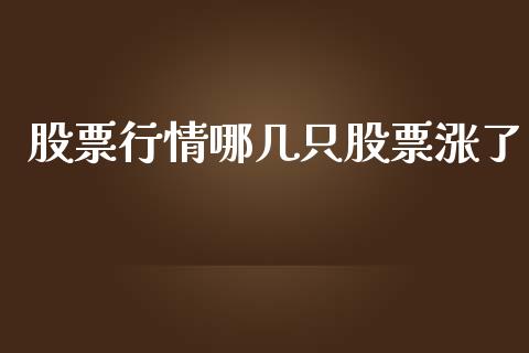 股票行情哪几只股票涨了_https://www.lansai.wang_股票知识_第1张