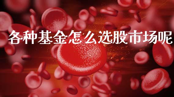 各种基金怎么选股市场呢_https://www.lansai.wang_基金理财_第1张