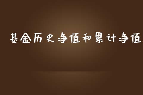 基金历史净值和累计净值_https://www.lansai.wang_基金理财_第1张