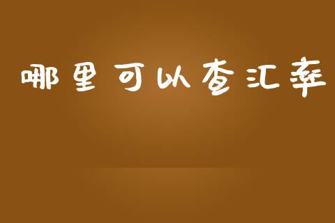 哪里可以查汇率_https://www.lansai.wang_期货资讯_第1张