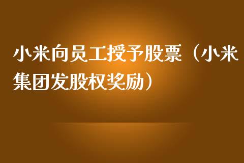 小米向员工授予股票（小米集团发股权奖励）_https://www.lansai.wang_股票知识_第1张