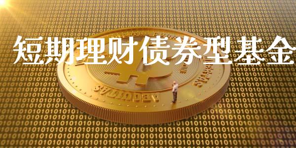 短期理财债券型基金_https://www.lansai.wang_基金理财_第1张