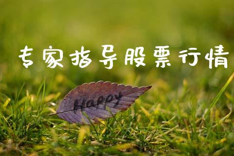 专家指导股票行情_https://www.lansai.wang_股票知识_第1张