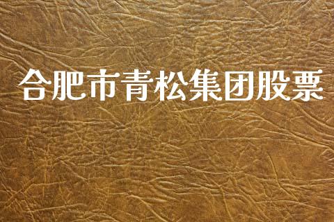 合肥市青松集团股票_https://www.lansai.wang_恒生指数_第1张