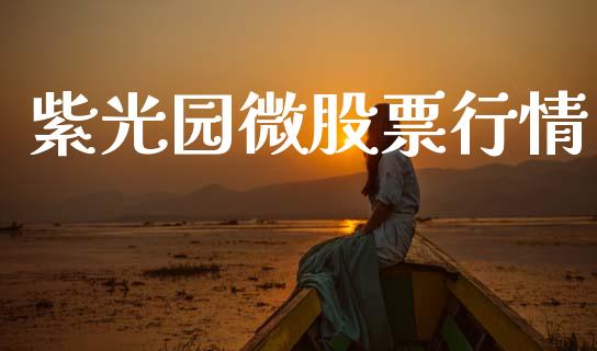 紫光园微股票行情_https://www.lansai.wang_股票知识_第1张
