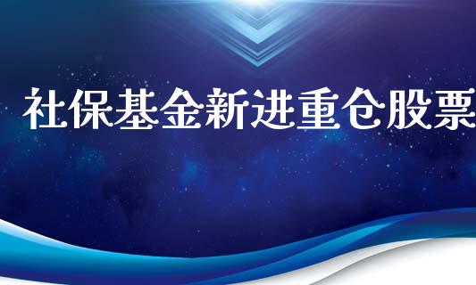 社保基金新进重仓股票_https://www.lansai.wang_基金理财_第1张