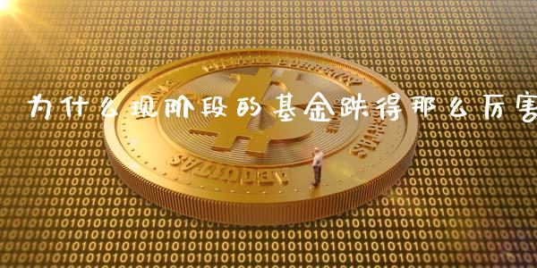 为什么现阶段的基金跌得那么厉害_https://www.lansai.wang_基金理财_第1张