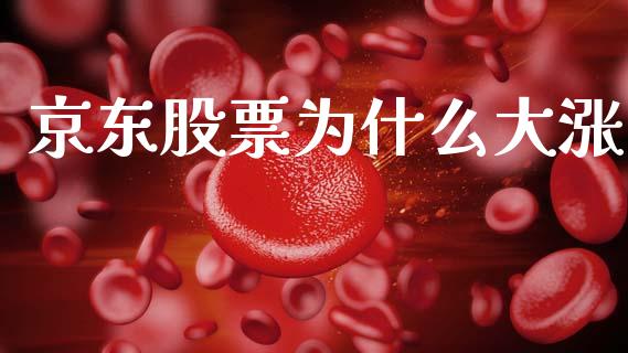 京东股票为什么大涨_https://www.lansai.wang_股票知识_第1张