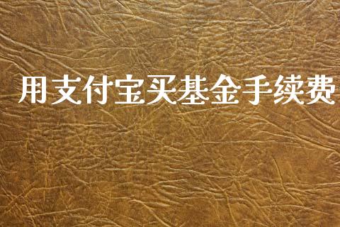 用支付宝买基金手续费_https://www.lansai.wang_基金理财_第1张