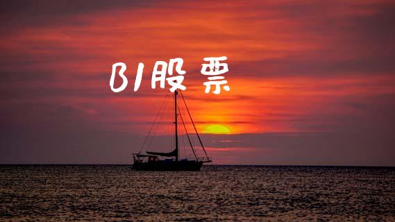 B1股票_https://www.lansai.wang_基金理财_第1张